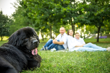 Young family in the park with his dog.