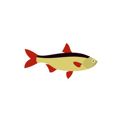 Fototapeta premium Rudd fish icon in flat style on a white background