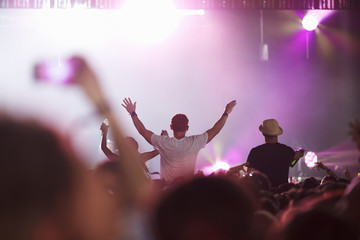 Fans Sitting On Friend's Shoulders At Music Festival © Monkey Business