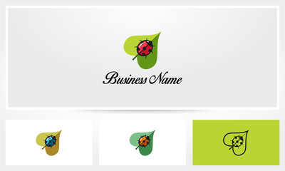 Fototapeta premium Ladybug Ladybird Leaf Logo