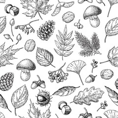 Autumn seamless vector pattern with leaves, berries, fir cones,