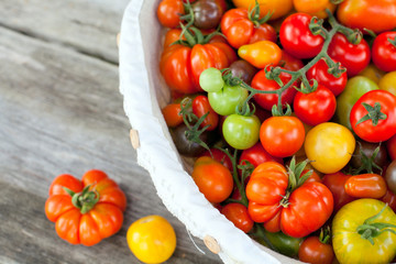 colorful tomatoes in basket