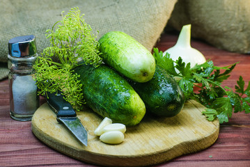 cucumbers for preserving and salting