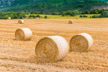 Haystack on the harvested field in the mountain side
