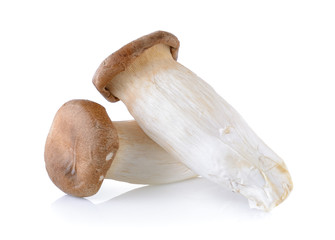 oyster mushrooms