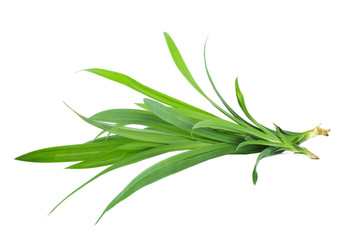 Fresh Pandan leaves on white background