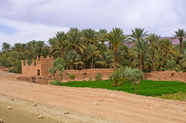 Fototapeta premium Oasis in Morocco