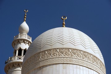 Fototapeta na wymiar Dubai mosque