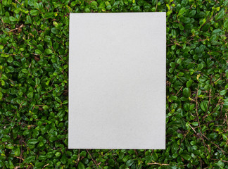 paper card placed on green leaf pattern
