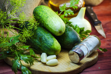 cucumbers for preserving and salting
