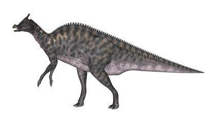 3D Rendering Dinosaur Saurolophus on White