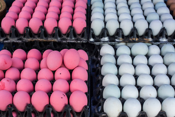 White and pink duck egg displays in black plastic container. purchaser selecting in supermarket. Selective focus