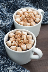 Two cups of cocoa with marshmallows