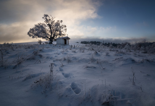 Hut By Tree In Snow Covered Field