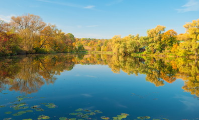 Autumn forest on the lake