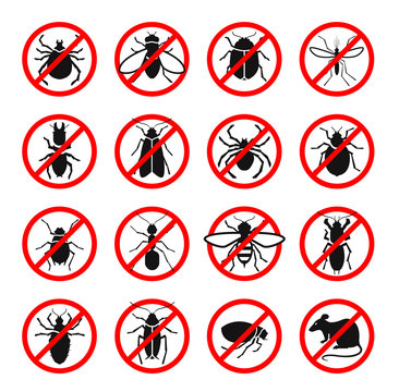 Pest Control. Harmful Insects And Rodents Set Icons. Vector Illustration