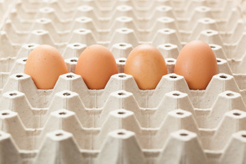 eggs on rag. or cartons packing. on white background.