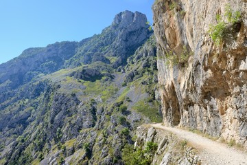 view of the rocks in the morning light