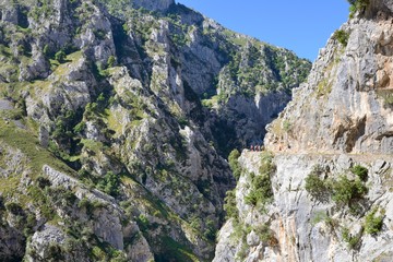 tourists are on a mountain path