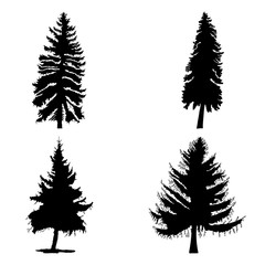Obraz premium Fir trees set isolated on white background illustration. Collection of black coniferous trees silhouettes. Hand drawing. 