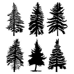 Fir trees set isolated on white background illustration. Collection of black coniferous trees silhouettes. Hand drawing. 