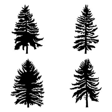 Fir trees set isolated on white background illustration. Collection of black coniferous trees silhouettes. Hand drawing. 