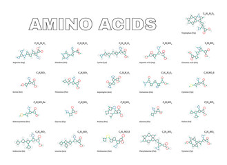 Amino acids set - obrazy, fototapety, plakaty