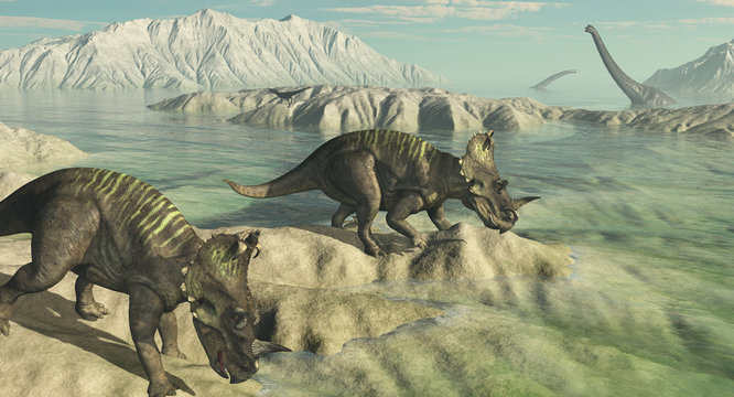 Centrosaurus Dinosaurs Exploring Landscape