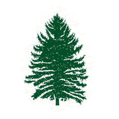 Silhouettes of green pine tree, vector illustration. Vintage textured grunge fir tree design template. Vector illustration.