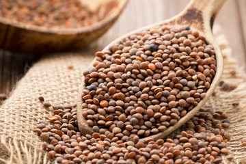 Lentil.