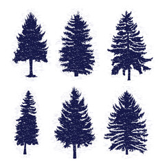 Vector set with pine trees isolated on white background, silhouettes of various woods and fir trees for your design, isolated.