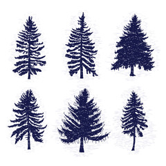 Fototapeta premium Vector set with pine trees isolated on white background, silhouettes of various woods and fir trees for your design, isolated.