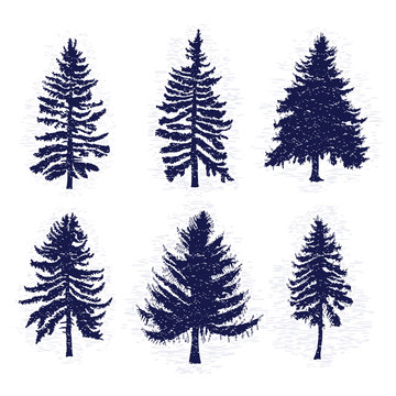 Vector set with pine trees isolated on white background, silhouettes of various woods and fir trees for your design, isolated.