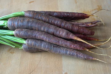 Ein Bund Karotten, violett