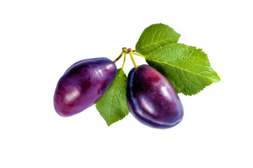 Group of plums with leaf isolated on a white.