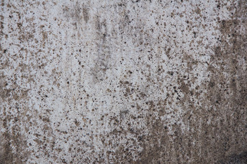 This is the cement wall. It is good background.