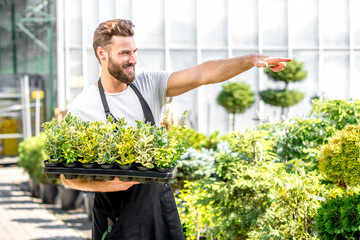 Handsome gardener in black apron pointing forward holding pots with plants in the greenhouse. Seller or worker in the plant shop