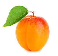 Fototapeta na wymiar Ripe apricot with leaf close-up isolated on a white background.