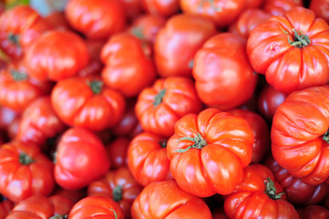 Beefsteak tomato