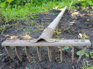 Old Iron Rake Lying Down the Ground. Close Up Image.