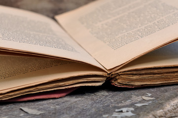 vieux livre ouvert sur fond bois 