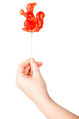 Hand holding squirrel shape lollipop