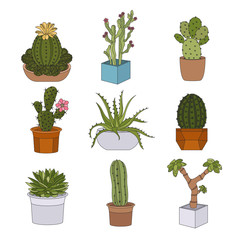 Cactuses and succulents icon set. Houseplants