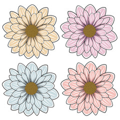 Vector illustration with flowers. Isolated objects on a white background.