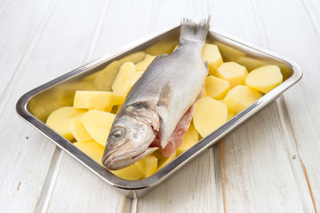sea bass fish  on potato wheels on cookie sheet steel