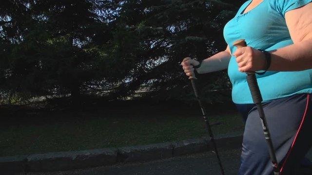 A woman walks through the Park with sticks for Nordic walking Sunny summer morning.