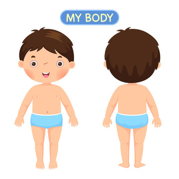 Vector illustration of a boy showing parts of the body
