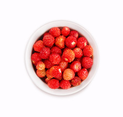 Wild strawberry