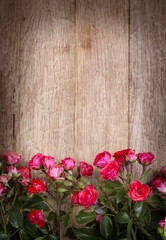 Fototapeta na wymiar red roses on wooden board