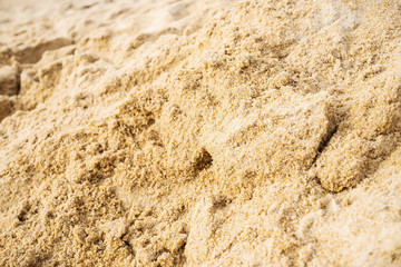 Sand on the beach of the sea